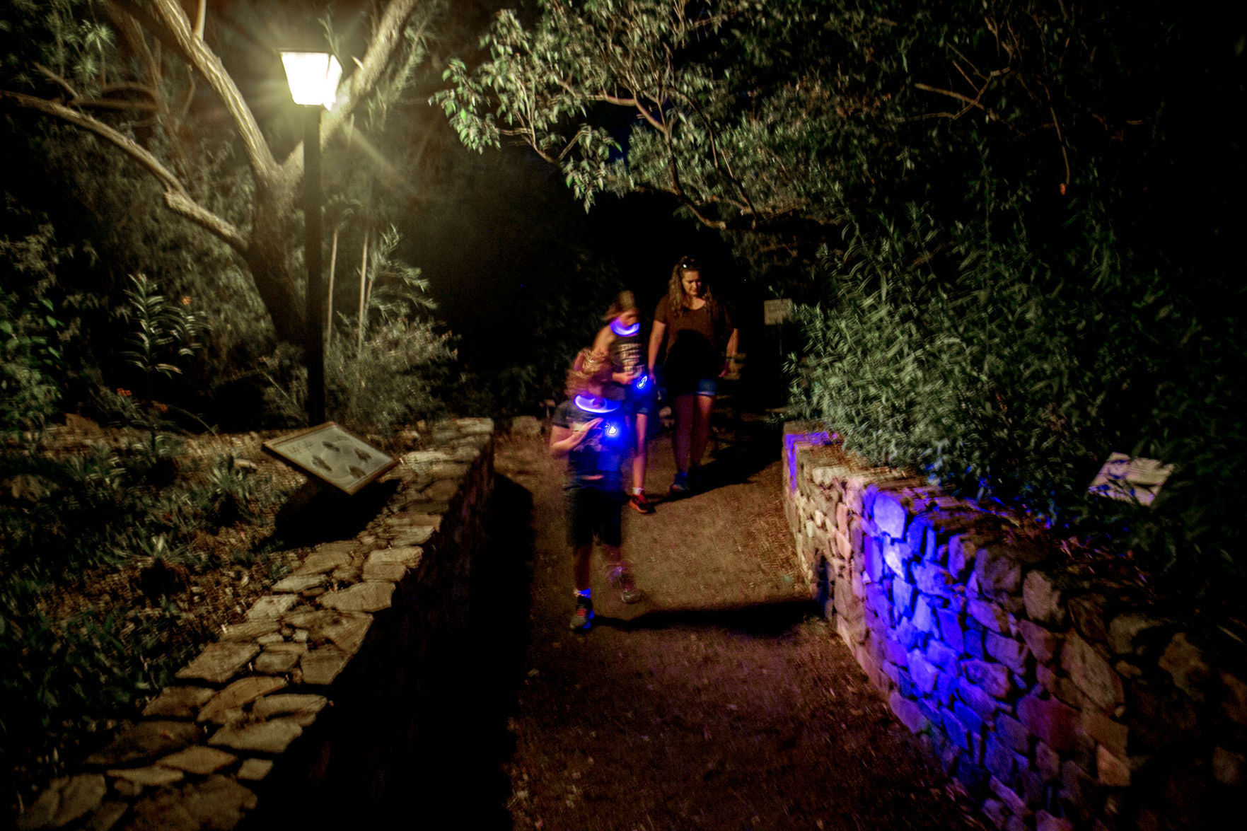 Cool Summer Nights at the Arizona-Sonora Desert Museum